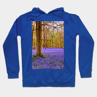 Bluebell Woods Greys Court England UK Hoodie